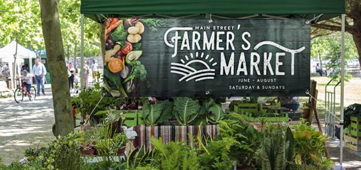 Outdoor Banner for Farmers Market