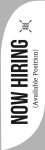 Now Hiring - Feather Flag